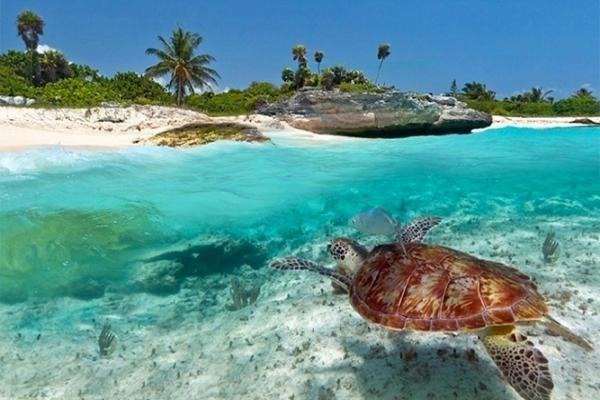 Kuwa Zanzibar Aparthotel Kiwengwa  Buitenkant foto